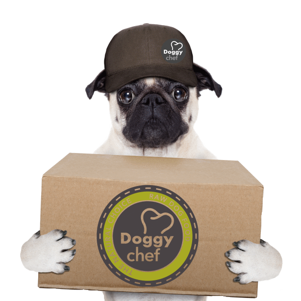 Pet food online delivery best sale