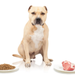 Raw Dog Food versus Kibble?