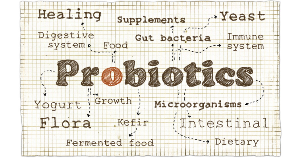 Probiotics for Cats and Dogs