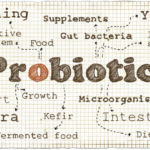 Probiotics for Cats and Dogs