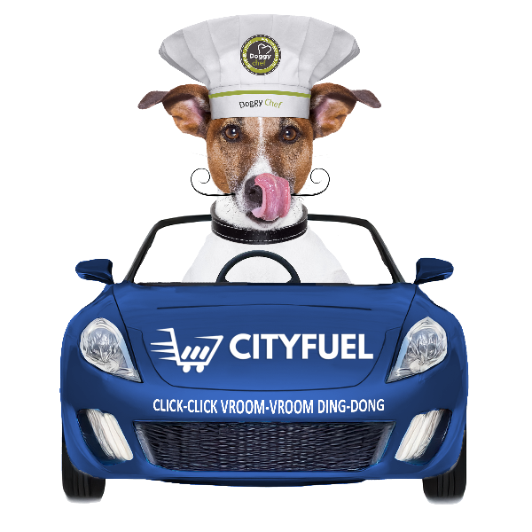 Doggy Chef On-Demand - Same Day Delivery! 