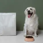 How Pet Food Companies Legally Deceive You: Reading Labels Like a Pro