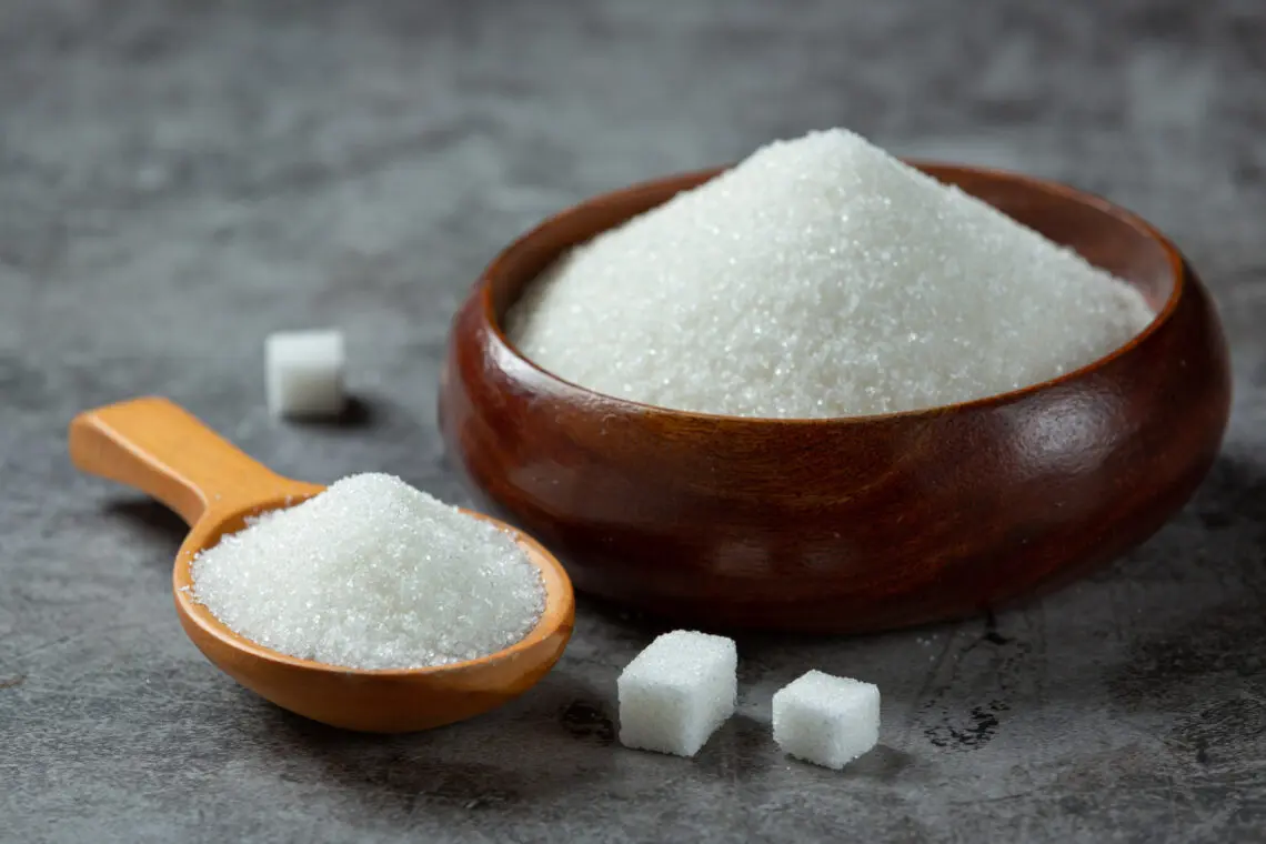 Carbohydrates in Pet Food: How Much Is Too Much and Why It Matters