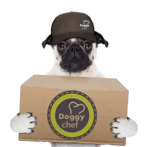 DoggyChef Subscription Service Transparent (600x600) | Premium Raw Food for Cats and Dogs | Raw Dog Food | Raw Cat Food | Raw Food for Pets | BARF | PREY | PMR