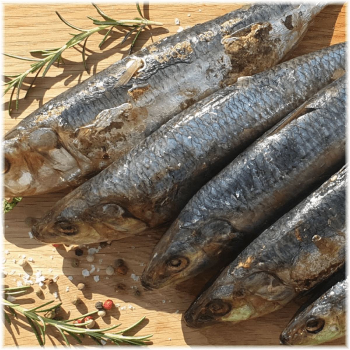 DoggyChef | Real Sardines | Raw Dog Food | Raw Cat Food | Raw Food for Pets | BARF | PREY | PMR