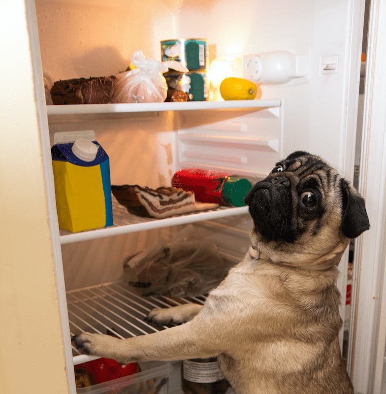 Unleashing the Best for Your Furry Friend: A Guide to Thawing Doggy Chef Raw Pet Food!