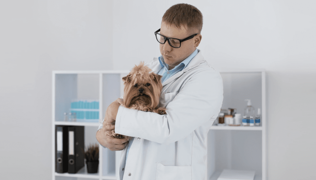 Epilepsy and Seizures in Pets and the Role of Nutrition